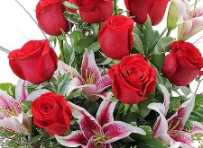 designer's choice flowers, shop now for delivery in  Highland